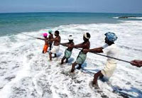 fisheries and aquaculture sector sees significant growth in india